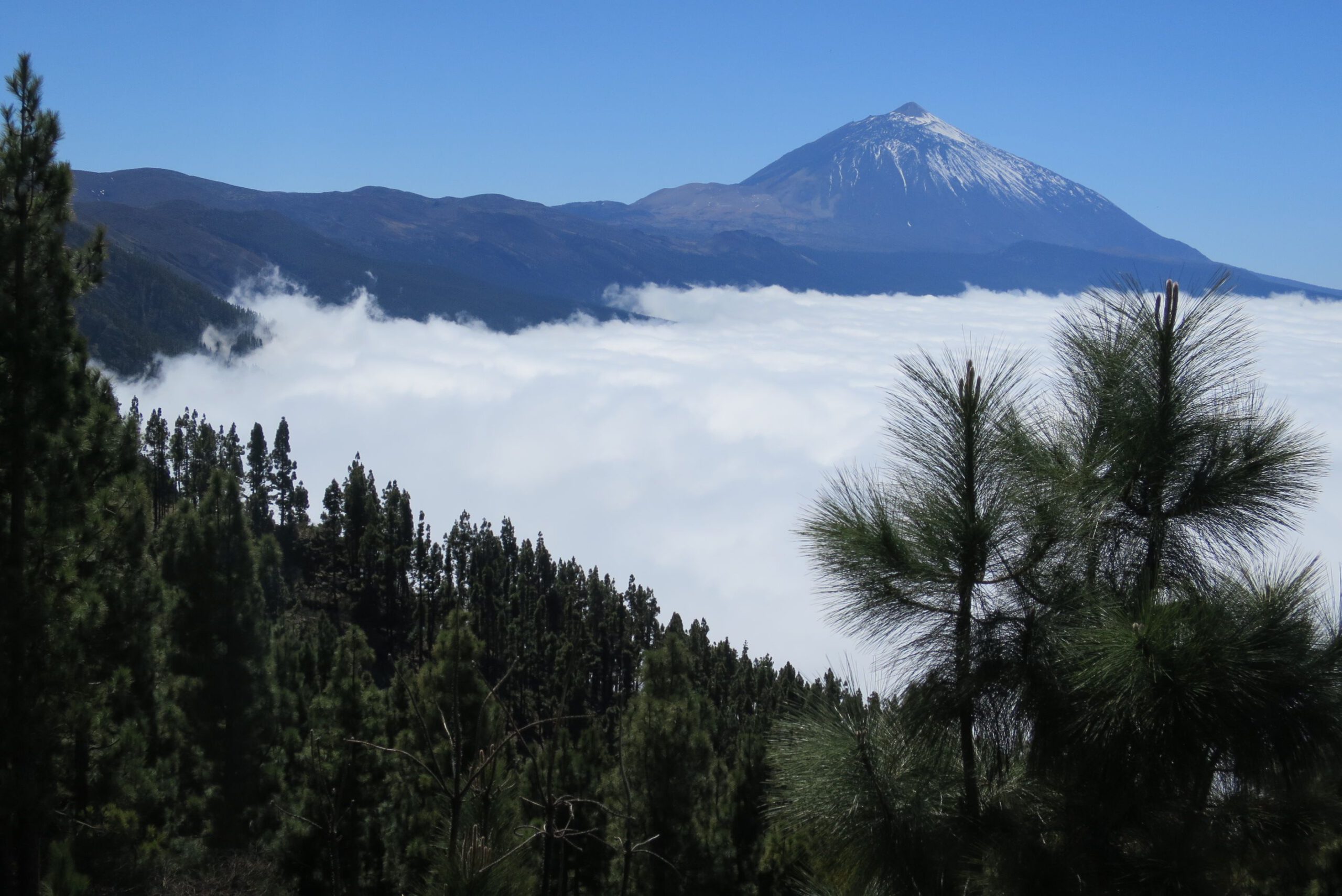 Teneriffa – Kurvenstau