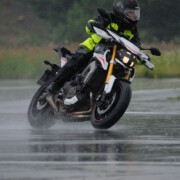 Groß Döllen 23.7.2017
Foto: Joachim Mottl